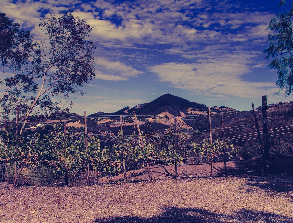 20130718-Pabst-Family-Vacation-Long-Beach-CA-(24-of-113)