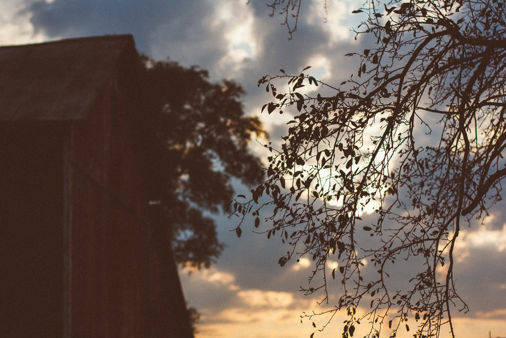 farm-wedding-photography-barn-film-look-(87)