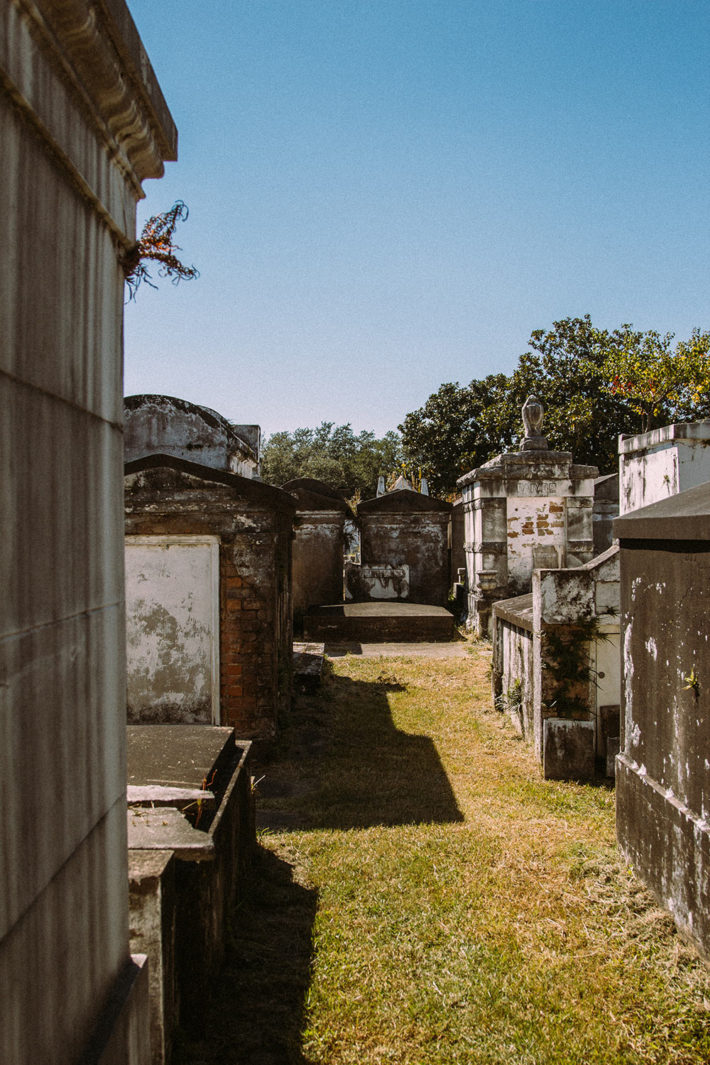 Josh-and-Jamie-Pabst-New-Orleans-(52-of-80)