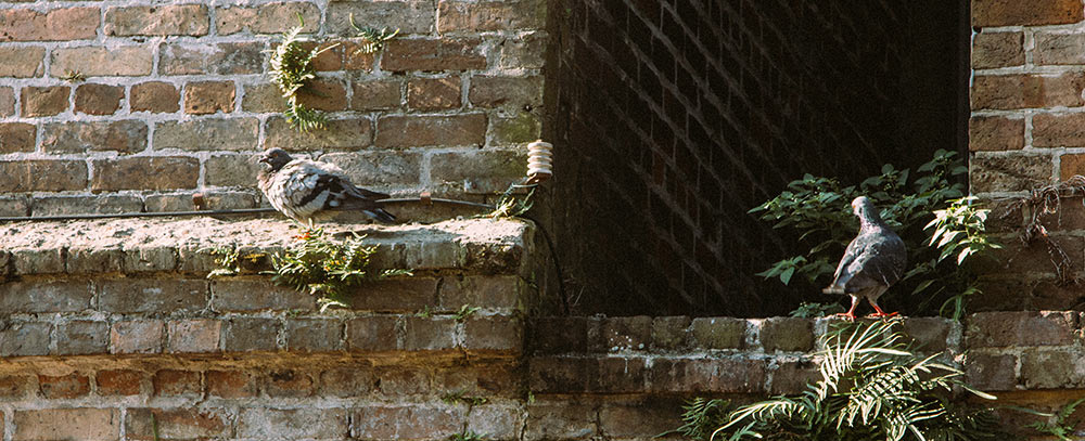 Josh-and-Jamie-Pabst-New-Orleans-(61-of-80)